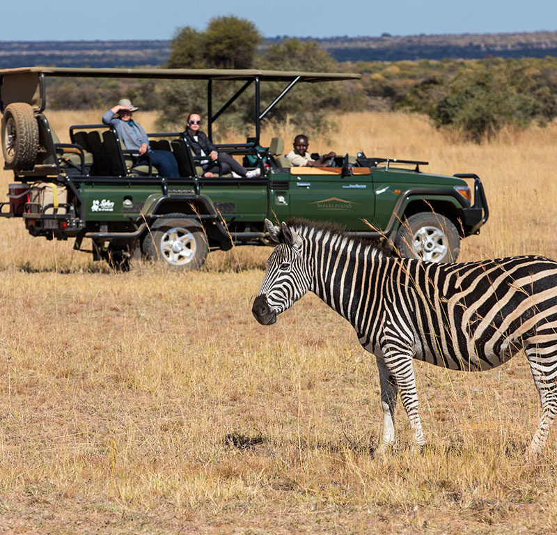2024 Extraordinary Safari Plains Safari Drive